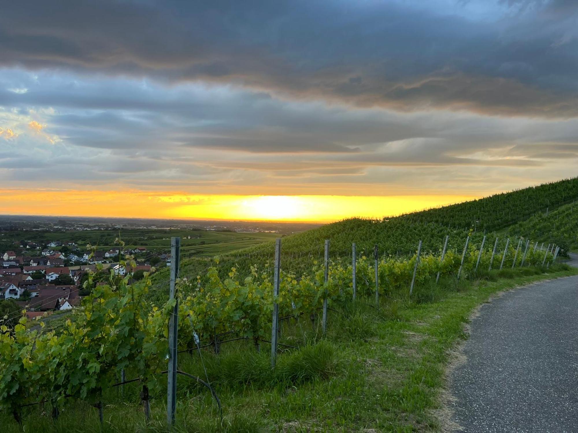Romantisches Winzerhaeuschen Bühl Extérieur photo